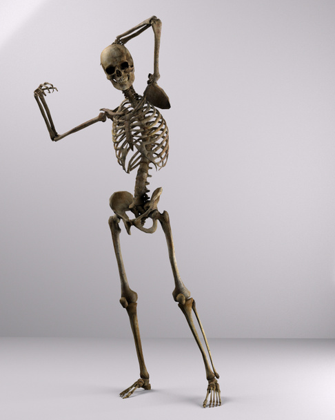Poser csontok - Fotó, kép