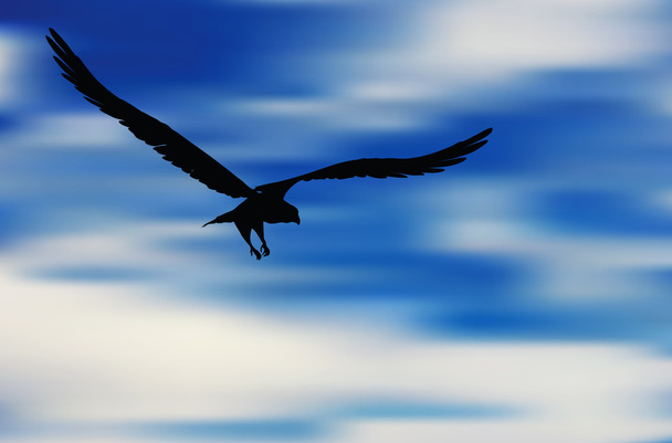 ilustração de silhueta de águia
 - Vetor, Imagem