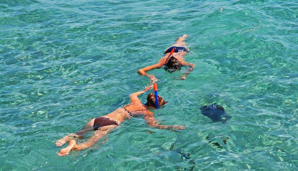 due ragazze e il pesce nuotano con maschere dal Mar Rosso, Egitto
 - Foto, immagini