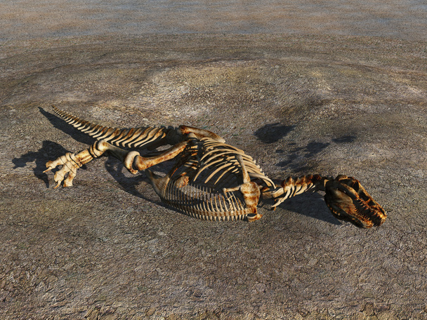 Esqueleto de dinosaurio medio enterrado
 - Foto, imagen