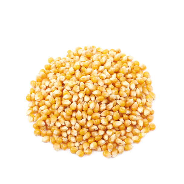 Pilha de grãos de milho isolada
 - Foto, Imagem