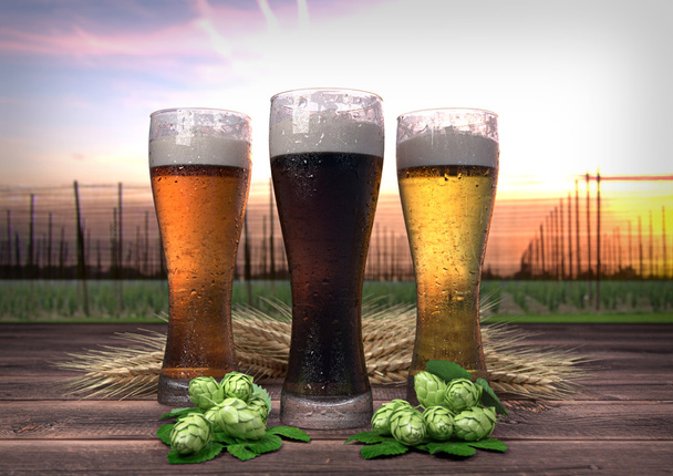 3 種類のビール、大麦、ホップ ホップ ガーデンで背景 3 d レンダリング - 写真・画像