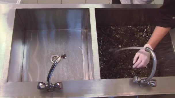 El hombre con guantes puso cuchillo, esponja en el fregadero. Mejillones crudos bajo chorro de agua. Cocina. Limpieza
 - Metraje, vídeo