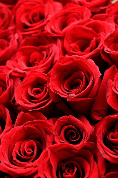 κόκκινα τριαντάφυλλα φόντο - Φωτογραφία, εικόνα