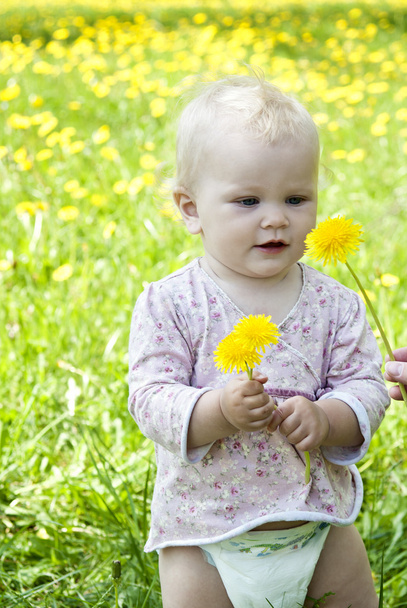 Baby on the nature of holding dandelions - Foto, afbeelding