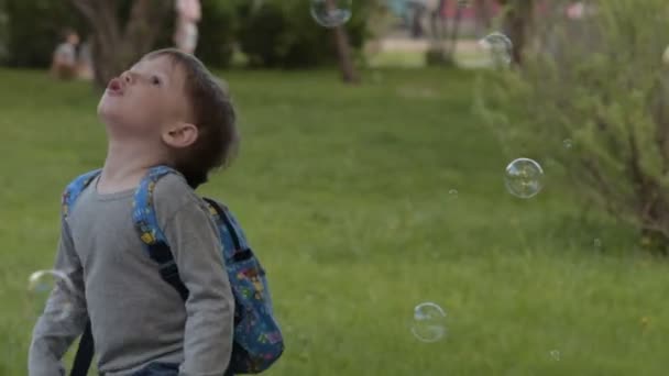 Child looking up at the flying bubbles - Кадры, видео