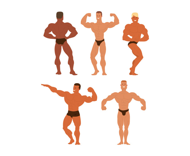 Mens physics bodybuilders vector illustration. - Vector, Image