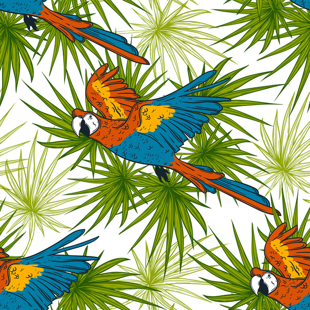 Naadloze patroon met Ara papegaaien en palm bladeren. Hand getekende vectorillustratie - Vector, afbeelding