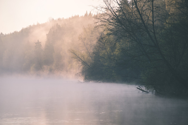 belo rio nebuloso na floresta - efeito de filme vintage
 - Foto, Imagem