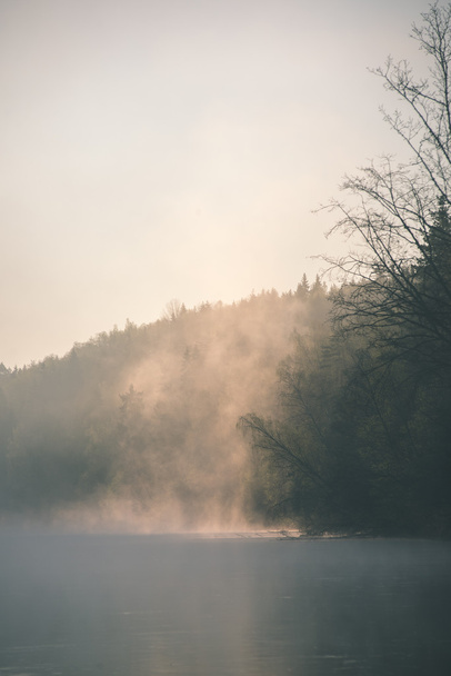 красива туманна річка в лісі - вінтажний ефект плівки
 - Фото, зображення