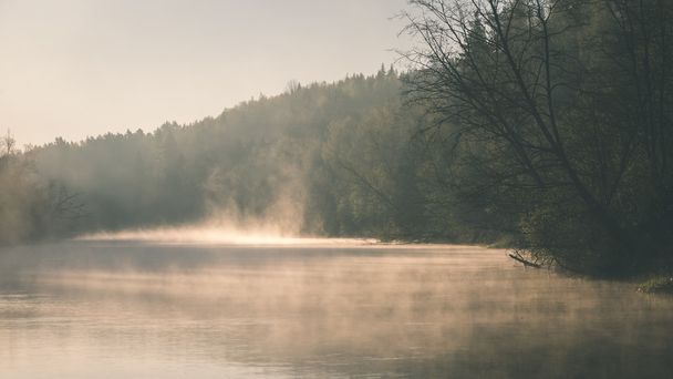 belo rio nebuloso na floresta - efeito de filme vintage
 - Foto, Imagem