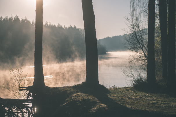 красивая туманная река в лесу - эффект винтажной пленки
 - Фото, изображение