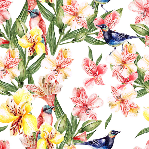 Όμορφη ακουαρέλα μοτίβο με λουλούδια Αλστρομέριες και πουλιών. - Φωτογραφία, εικόνα