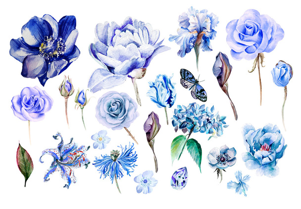 Aquarell-Set mit verschiedenen Blüten Hortensie, Anemone, Iris, Lilie, Mohn, Pfingstrose, Rose. - Foto, Bild