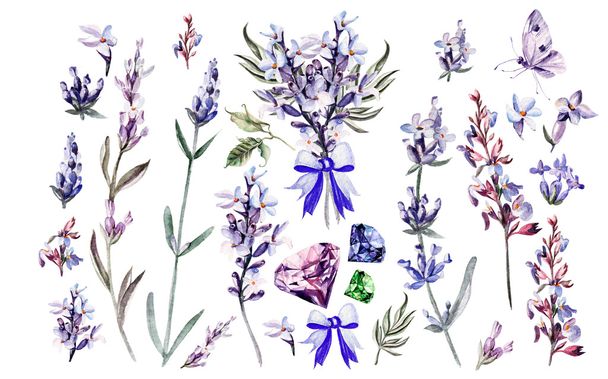 Watercolor set with lavender flowers. - Photo, Image