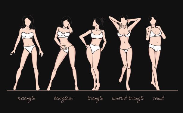 Women body shapes. - Vector, afbeelding