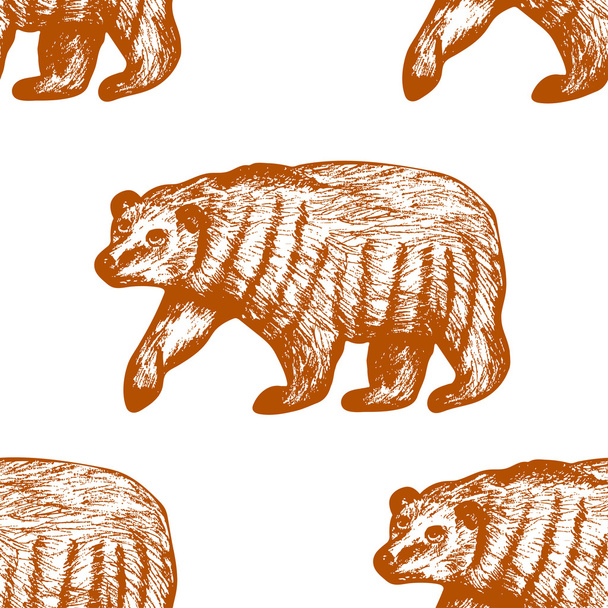 Brown bears on the white background. Vector seamless pattern - Вектор, зображення
