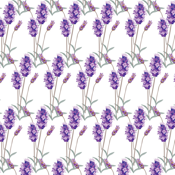 Lavender pattern with flowers in watercolor paint - Vector, Image