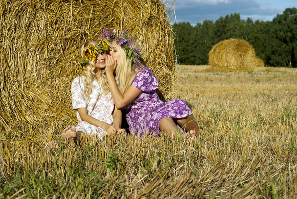 Beautiful girl sitting near the haystacks - Фото, изображение