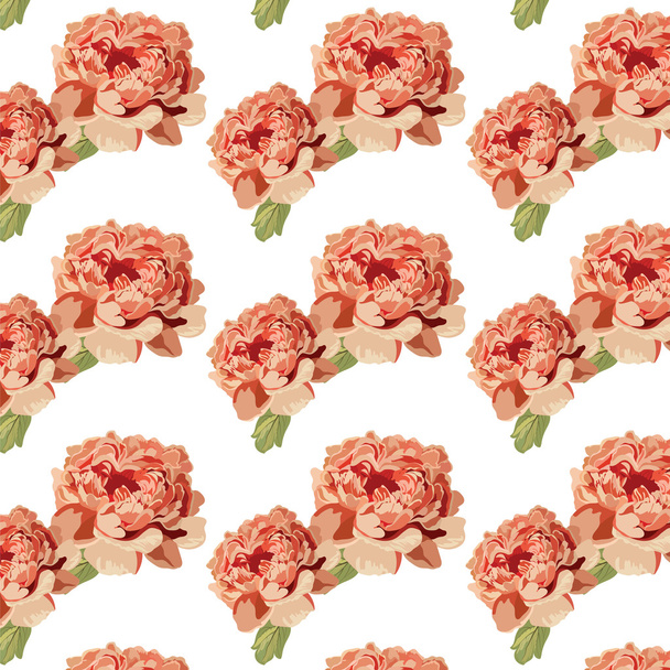 Peony roze bloemen patroon - Vector, afbeelding