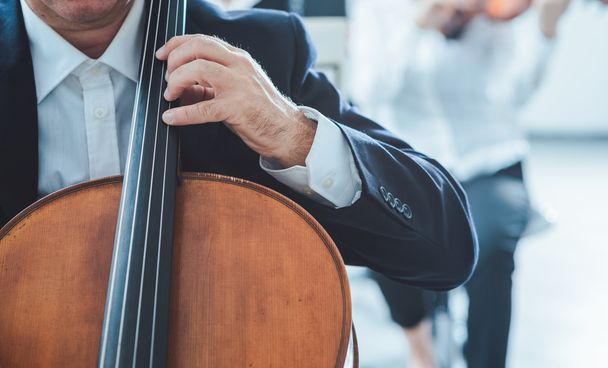 Professional cello player performing - Fotoğraf, Görsel