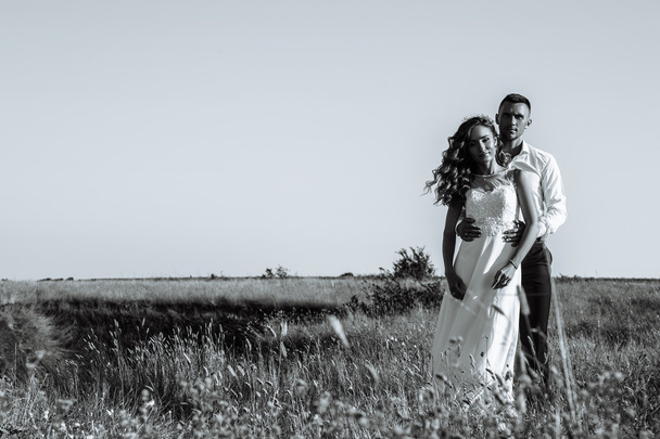Jeune couple de femmes fraîchement mariées en robe de mariée et homme marchant dans le champ sous le soleil extérieur, noir et blanc
 - Photo, image