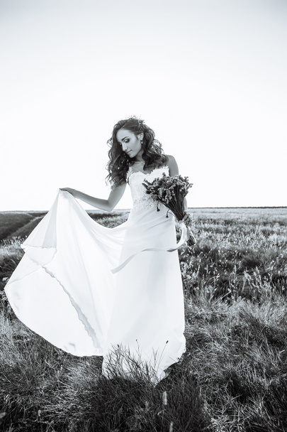 Young woman in wedding dress outdoors. beautiful bride in a field at sunset. Black and white - 写真・画像
