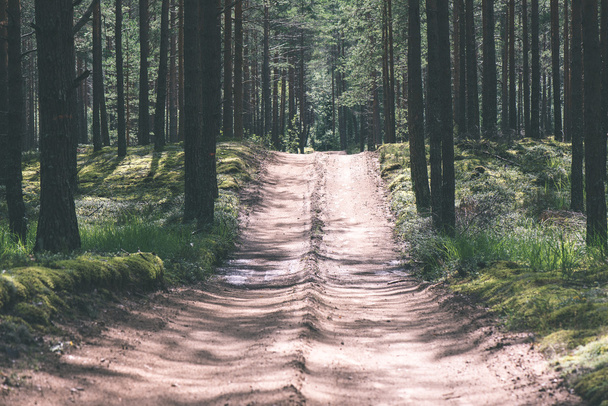 camino de campo simple en verano - efecto de película vintage
 - Foto, Imagen