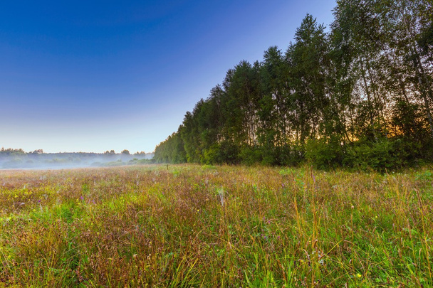 Morning foggy meadow in polish countryside - Photo, Image
