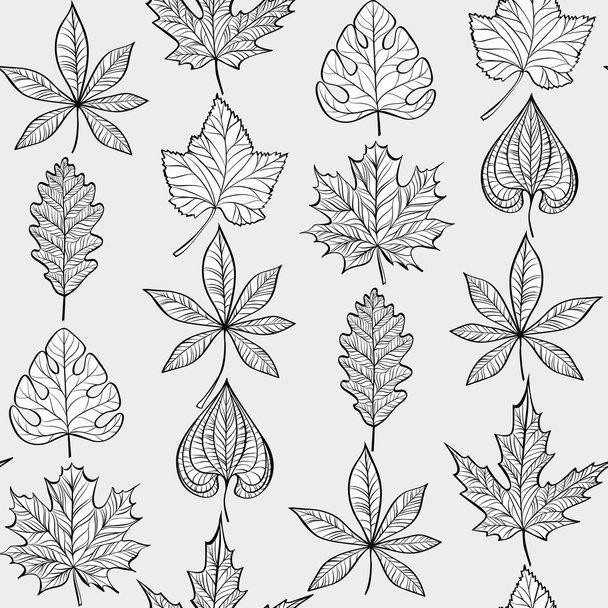 Vector Seamless Pattern with Fall Different Leaves - Vector, Imagen