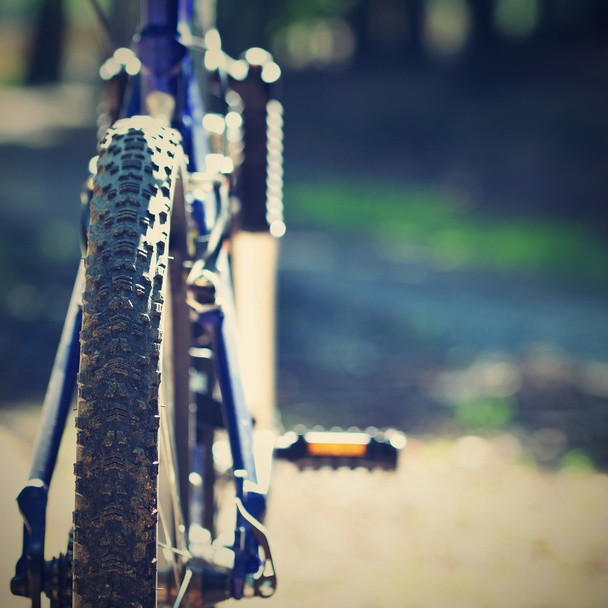 Горный велосипед в лесу. Спорт в природе
. - Фото, изображение