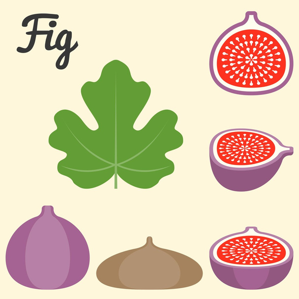 Vector fig icon, flat design - Vector, Image