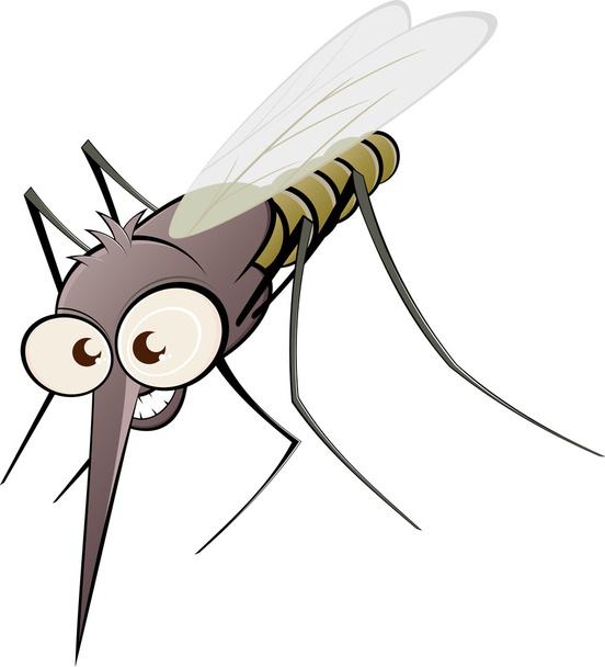Mosquito desagradável dos desenhos animados
 - Vetor, Imagem