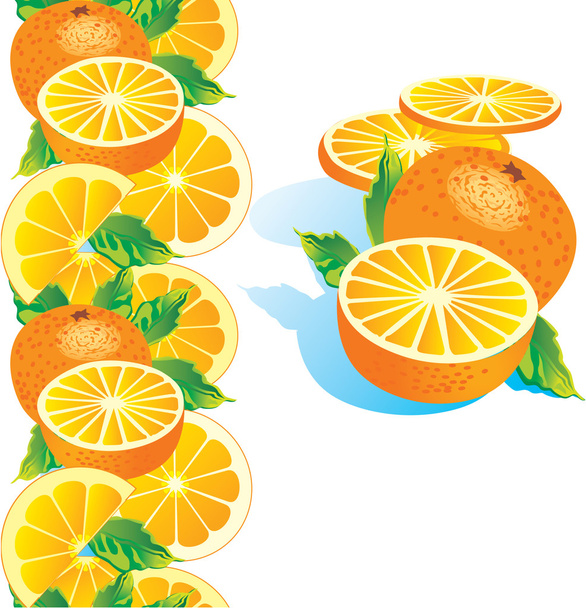 érett narancs - Vektor, kép