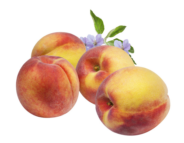 Peach isolated on white  - Photo, Image