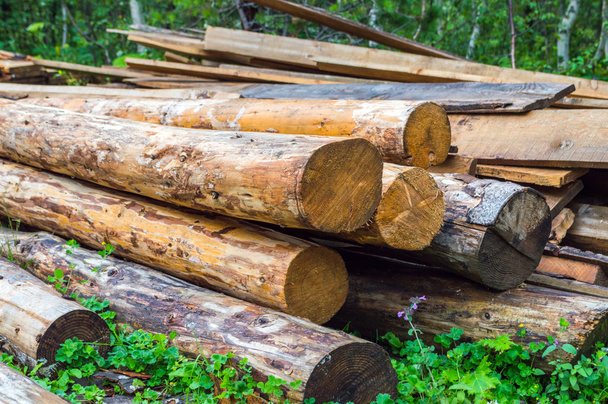 Pieux et grumes de bois de chauffage usagés
 - Photo, image