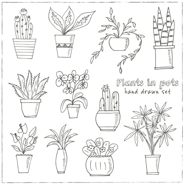 Set of plants in a pot  - Vetor, Imagem