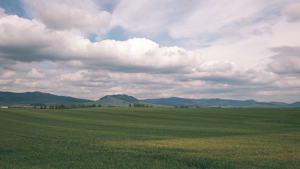 Dunkle Gewitterwolken über Wiese mit grünem Gras - Vintage-Effekt - Foto, Bild