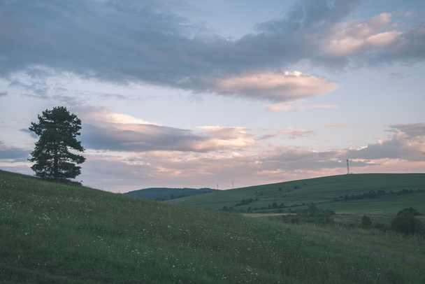 Sötét viharfelhők felett rét, zöld fű - vintage hatást - Fotó, kép