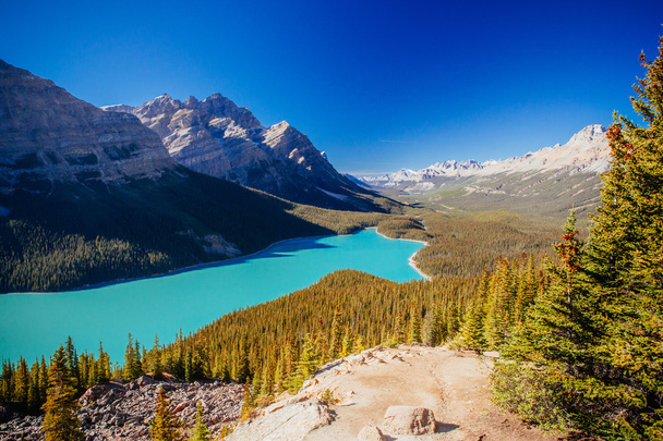 Peyto Lake, Banff nemzeti parkban, Sziklás-hegység, Alberta, Canad - Fotó, kép