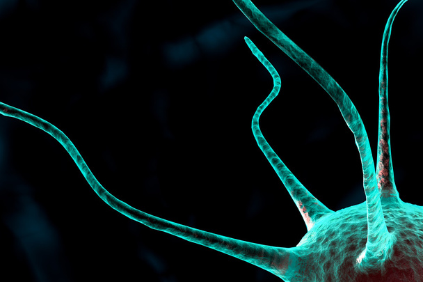 3D zenuwcel - Foto, afbeelding