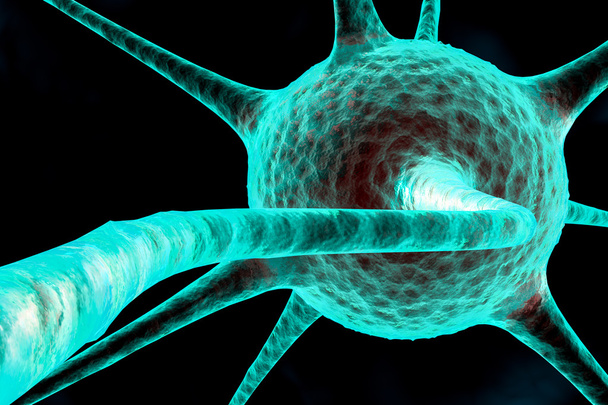 Cellula nervosa 3d
 - Foto, immagini