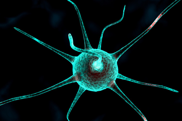 3d nerve cell - Фото, изображение