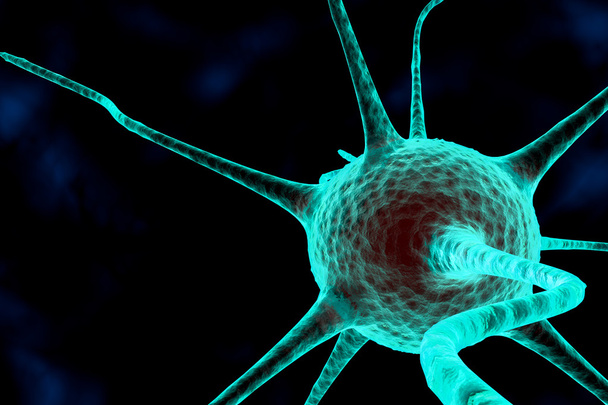 3d Nervenzelle - Foto, Bild