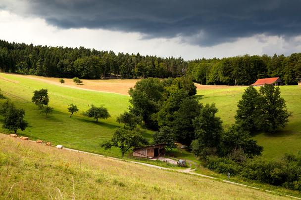 Bavyera tarım arazisi - Fotoğraf, Görsel