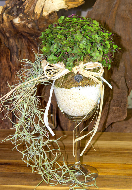Een glas met tyllandsia een een groene plant als een creatieve tafeldecoratie. - Foto, afbeelding