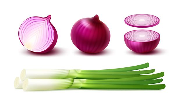 Vector Set of Fresh Whole and Sliced Red Onion Bulbs with Green Onions Close up Isolated on White Background - Vector, Image