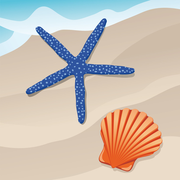 Starfish and shell - Вектор, зображення
