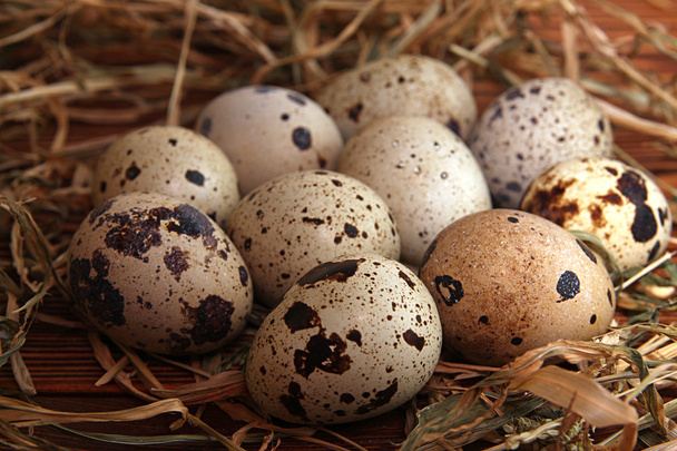Перепелиные яйца. Сельский стиль
 - Фото, изображение