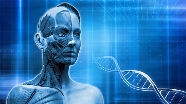 Kék orvosi háttér a női modell és DNS emberi anatómiájával  - Fotó, kép